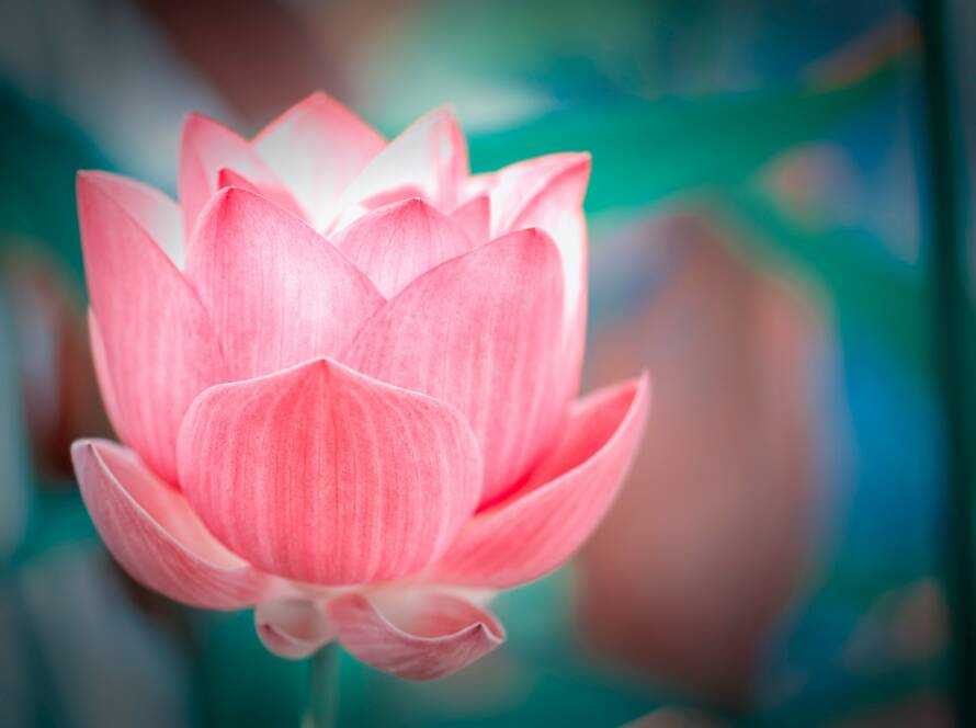 formación en Reiki