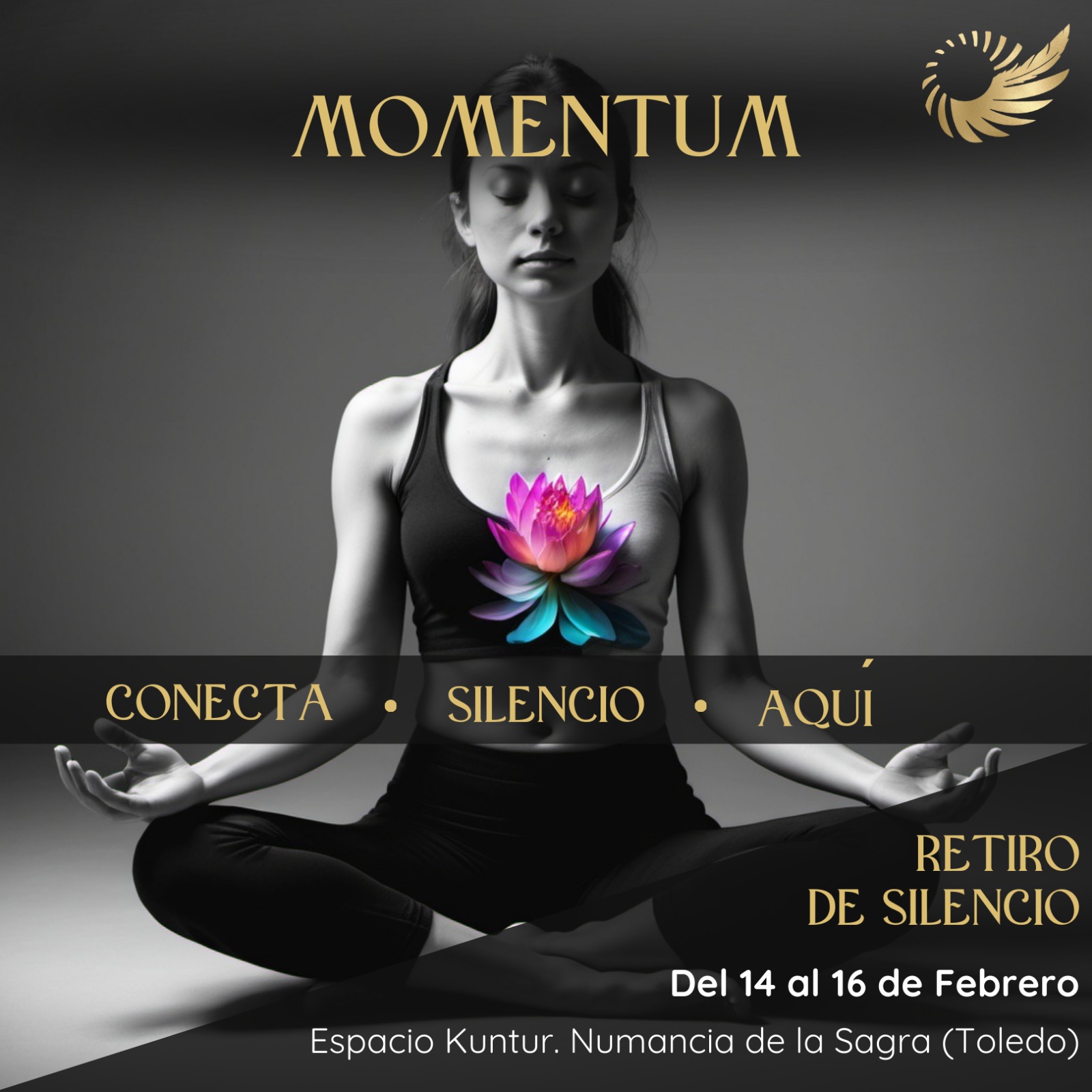 momentum silencio